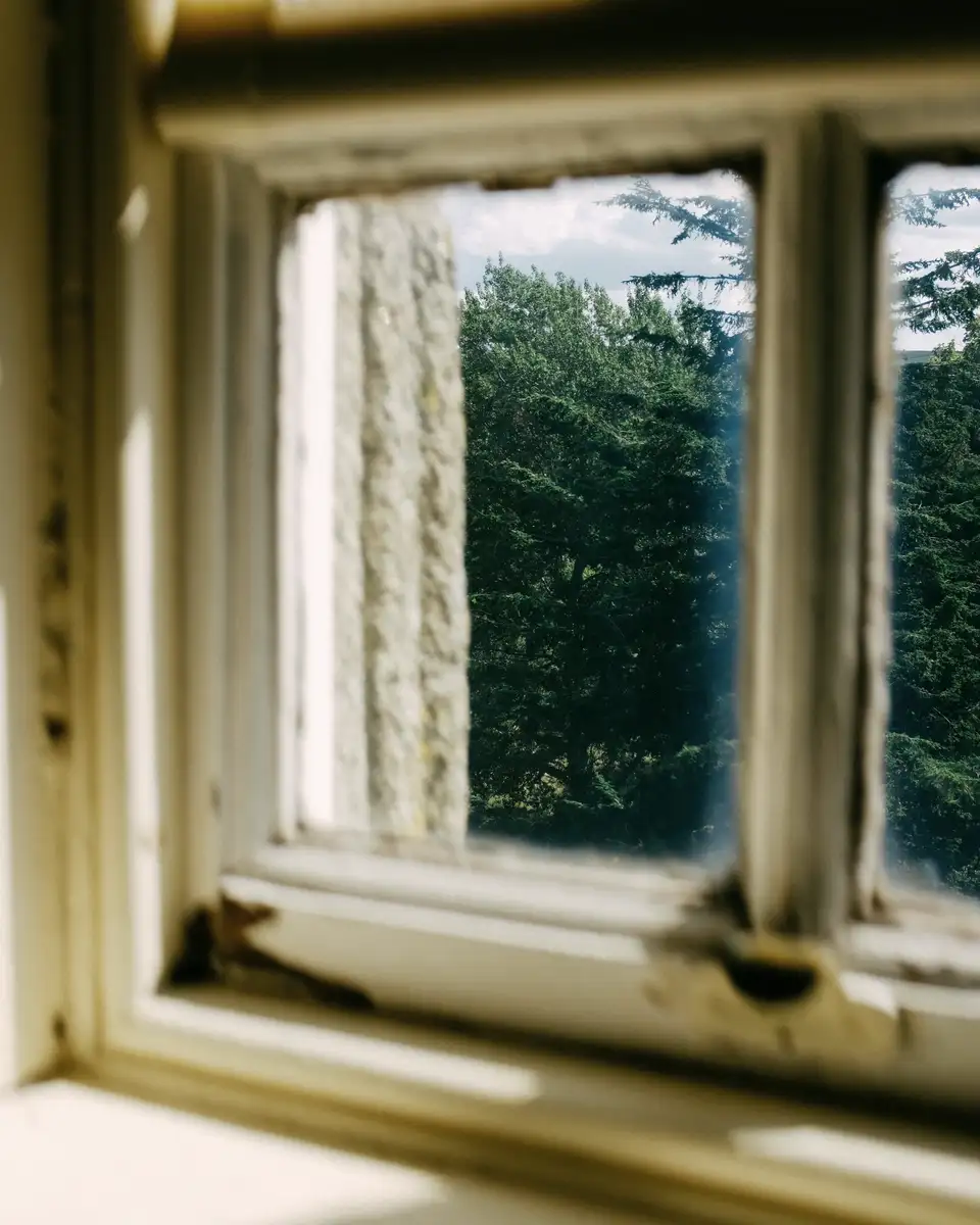An old casement window open to green garden leaves