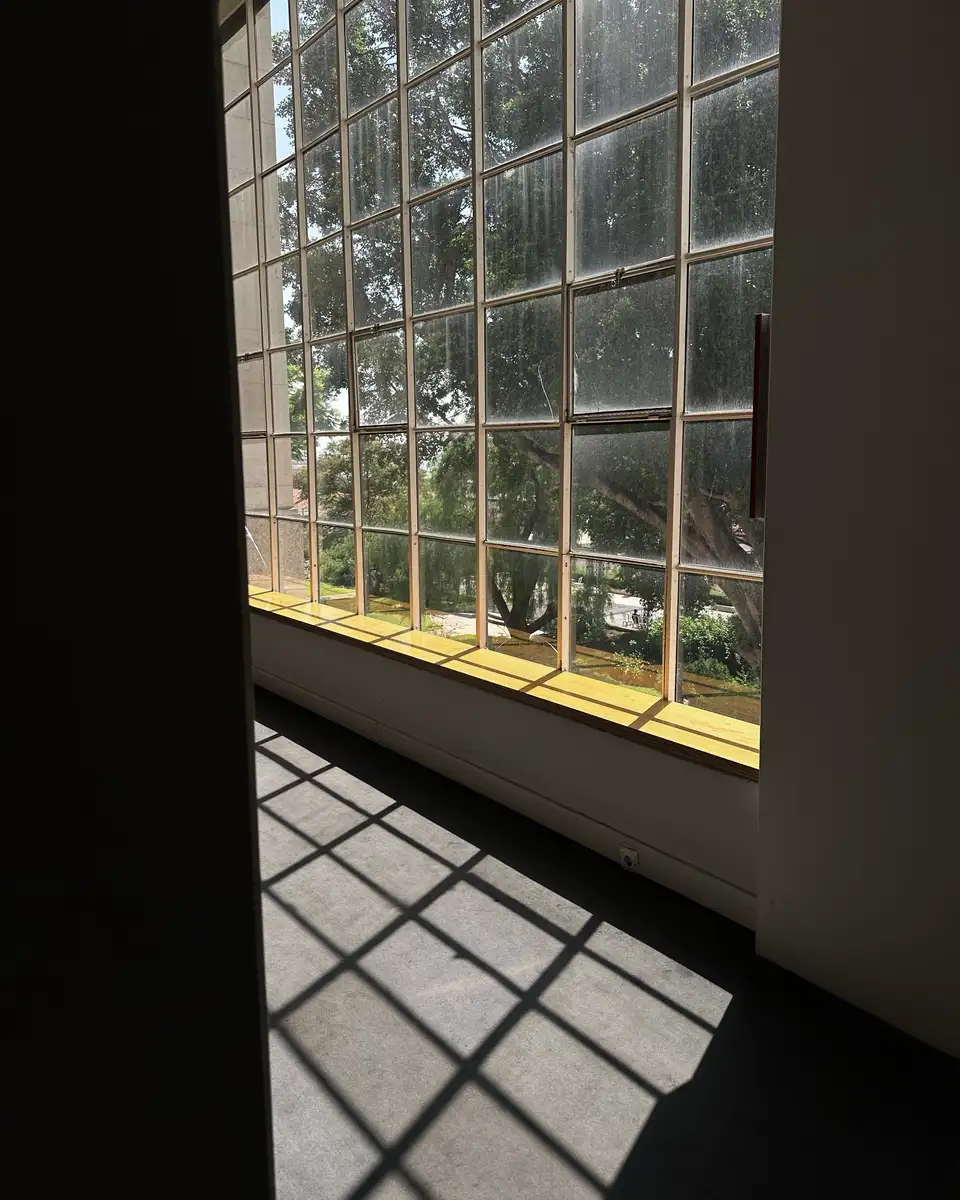 Sunlight through a gridded window throwing squares of light on the floor