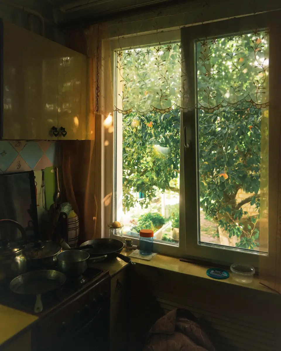A kitchen window above the counter looking onto a green yard